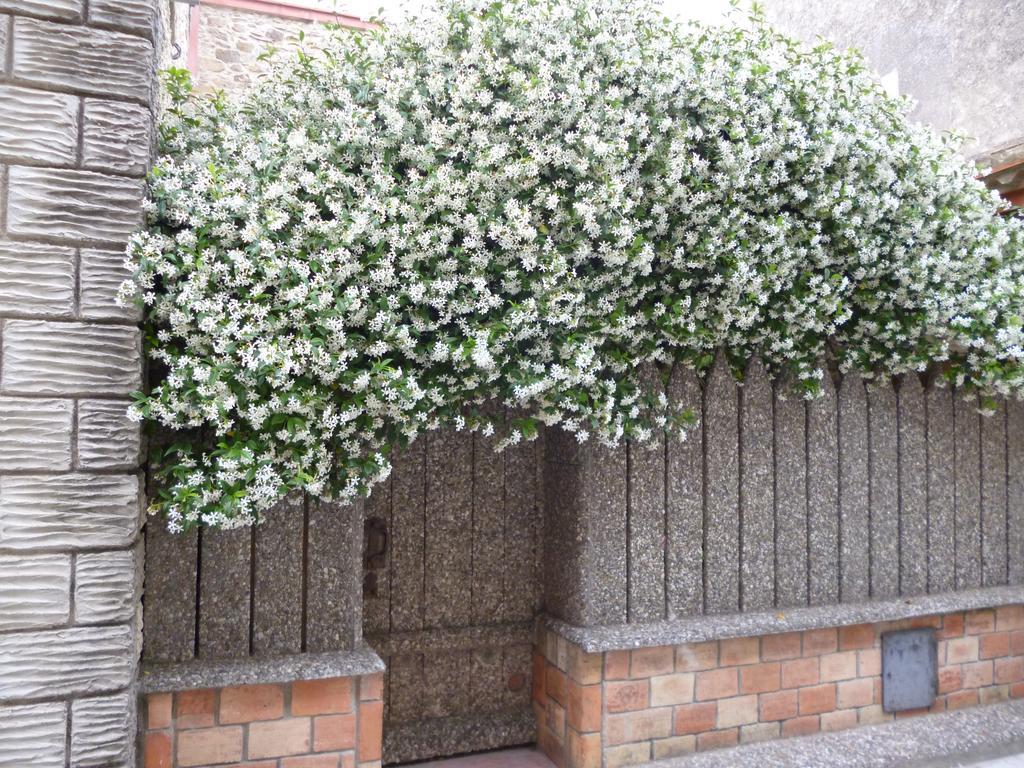 Chambres D'Hotes La Rose Des Vents Ginestas Exterior foto